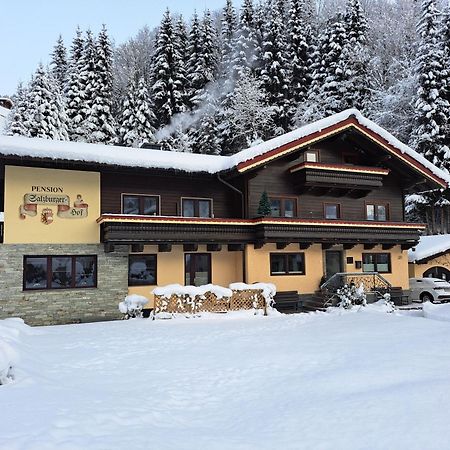 Apartments Salzburgerhof Saalbach-Hinterglemm Exterior photo
